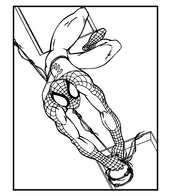 Spiderman coloring pages