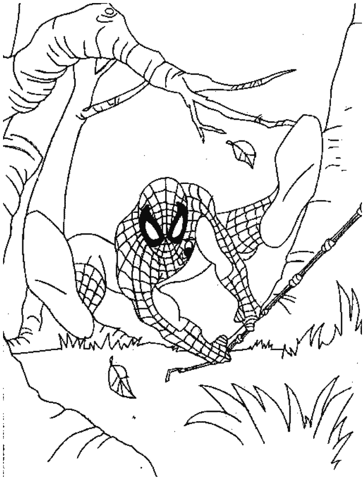 Spiderman coloring pages