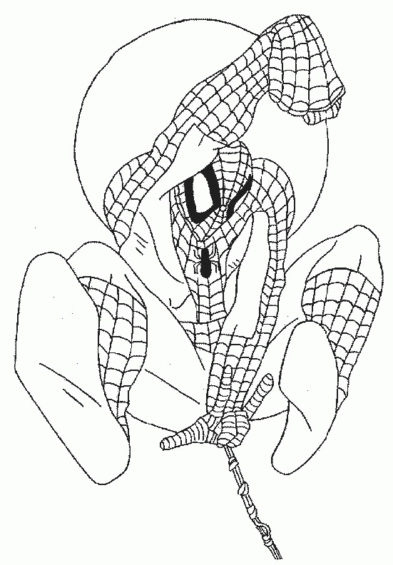 Spiderman coloring pages