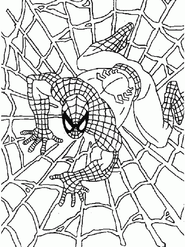 Spiderman coloring pages