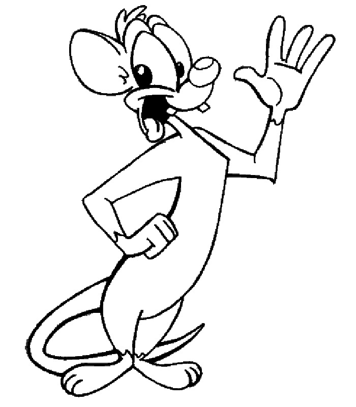 Animaniacs coloring pages