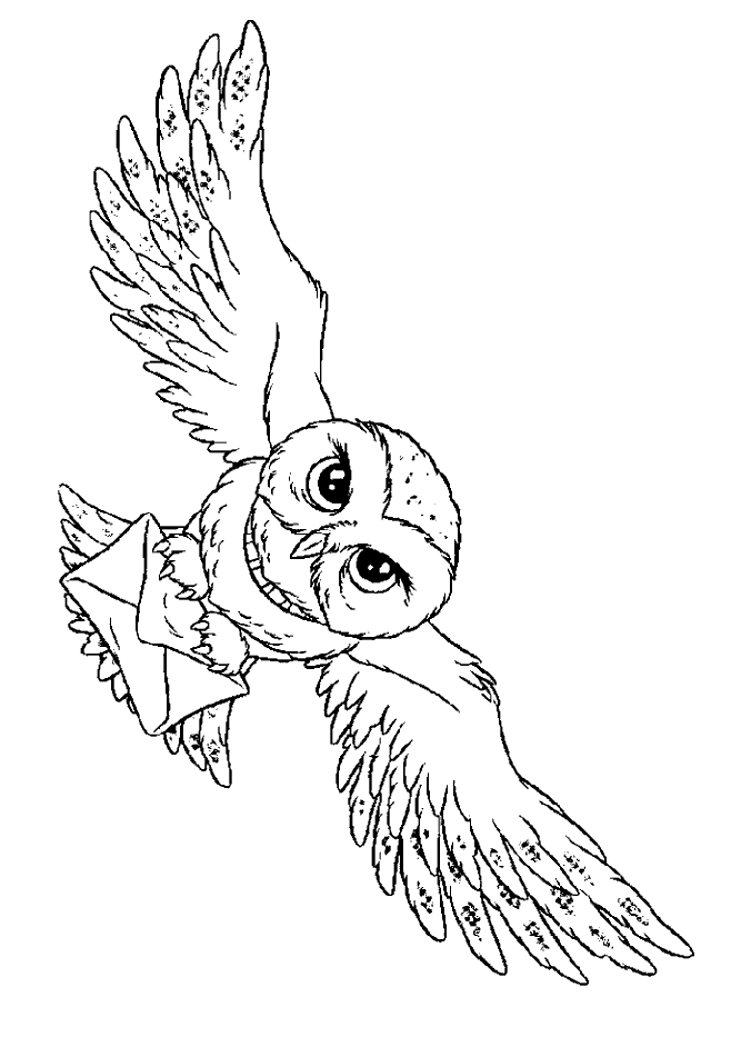 Harry potter coloring pages