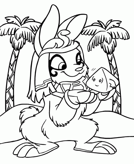 Neopets coloring pages