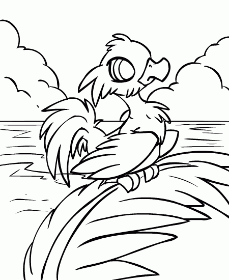 Neopets coloring pages