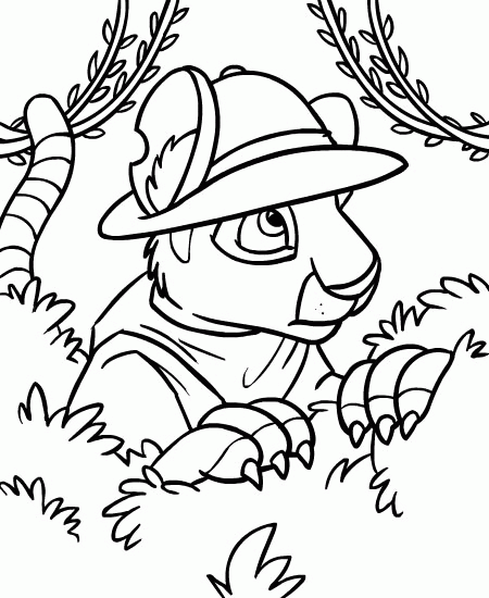 Neopets coloring pages