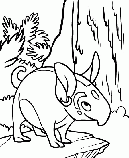 Neopets coloring pages