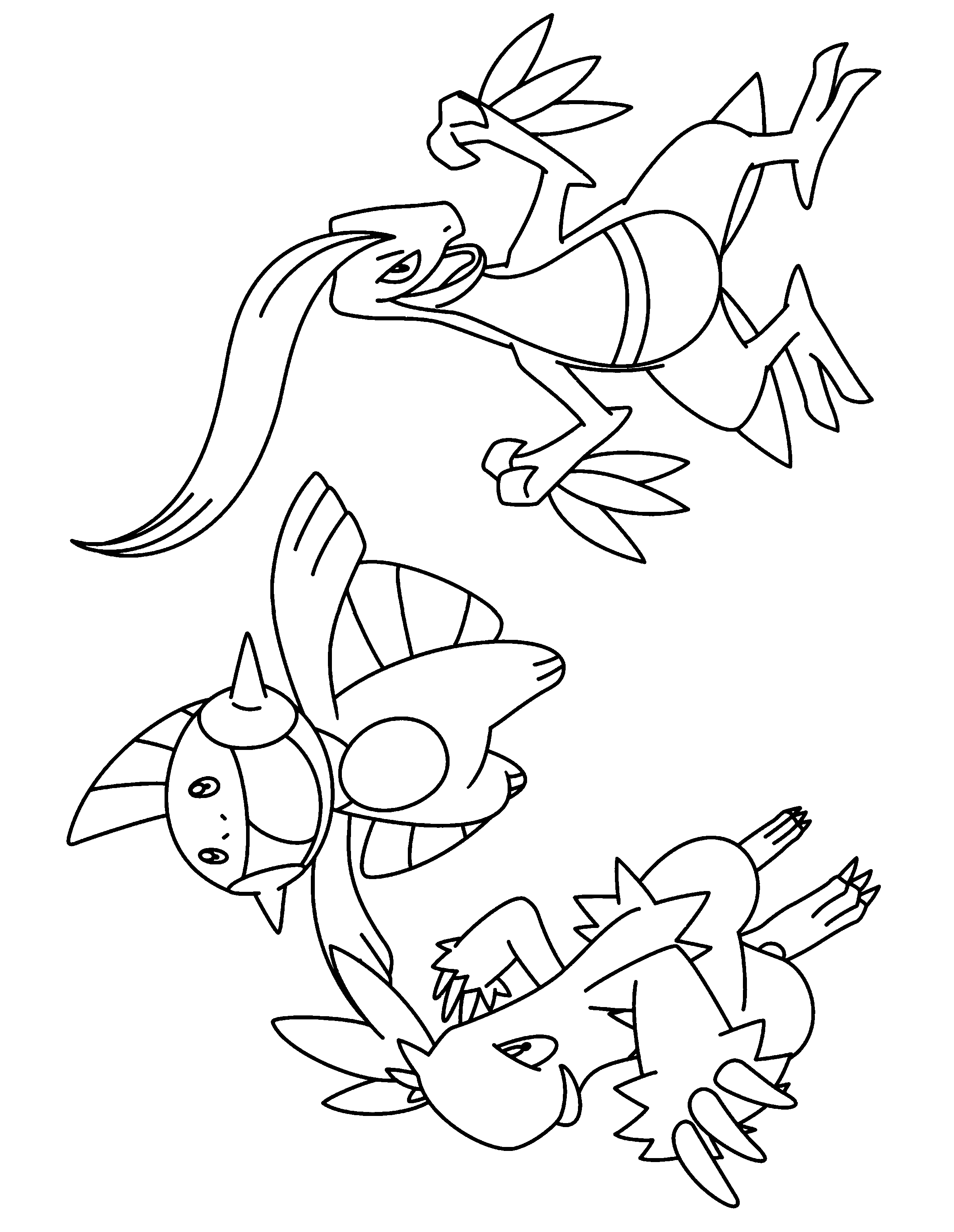 Pokemon advanced coloring pages