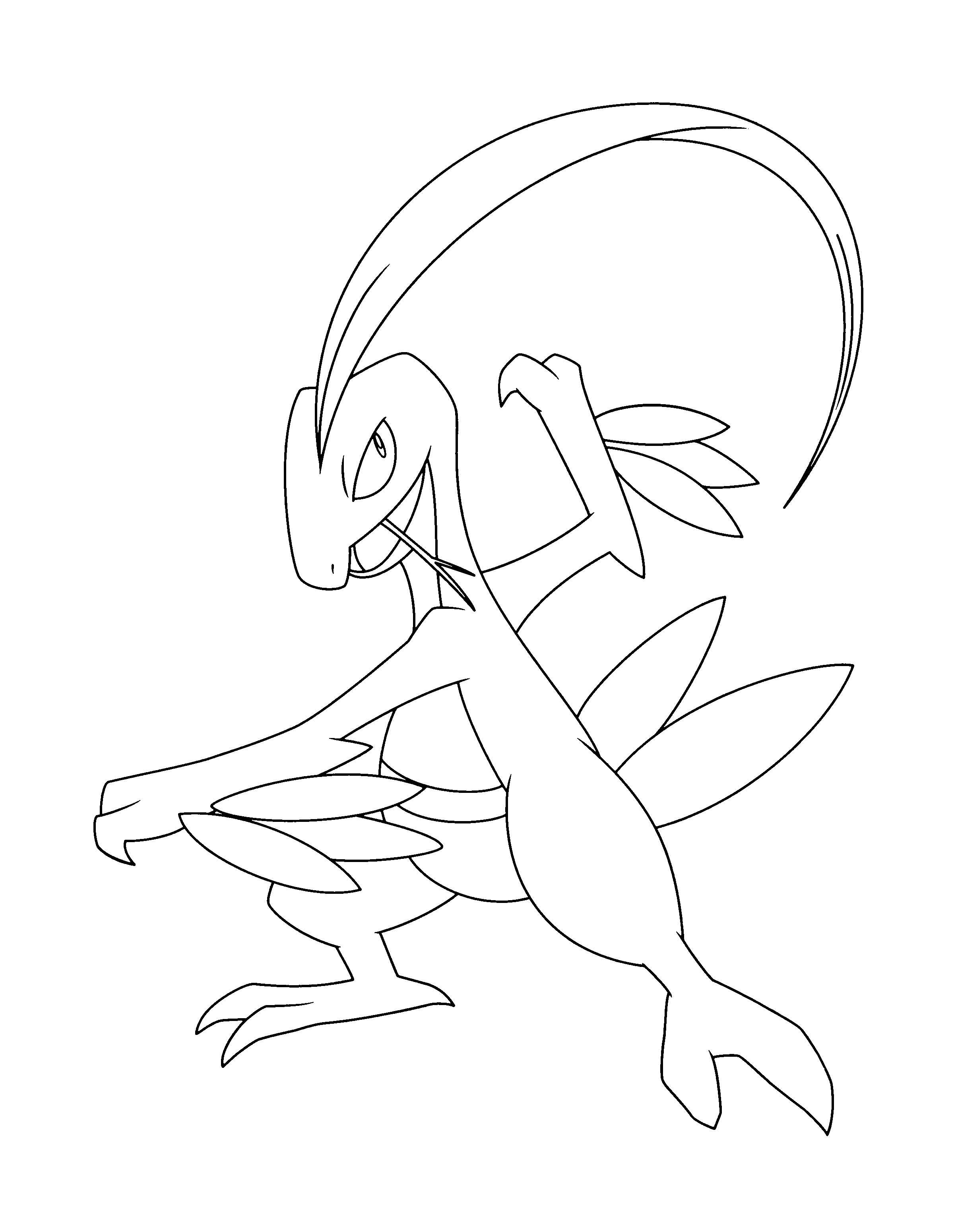 Pokemon advanced coloring pages