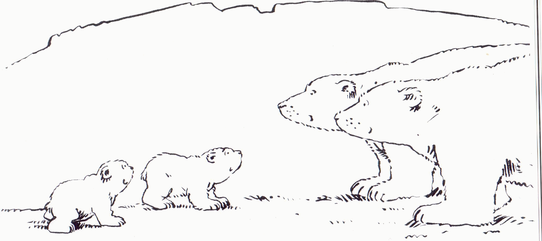 The little polar bear coloring pages