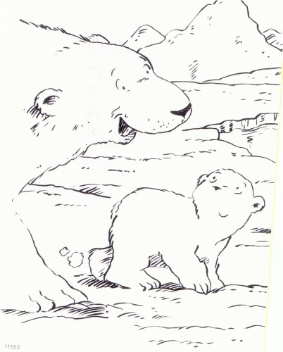 The little polar bear