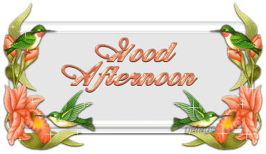 Good afternoon Graphic Animated Gif - Picgifs good afternoon 3306516
