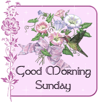 Good morning comment gifs