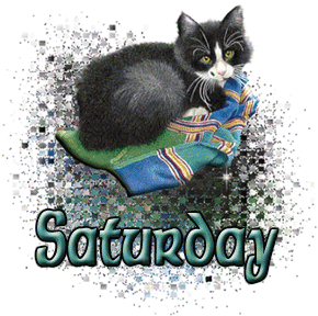 Saturday comment gifs