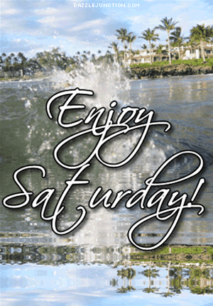 Saturday comment gifs