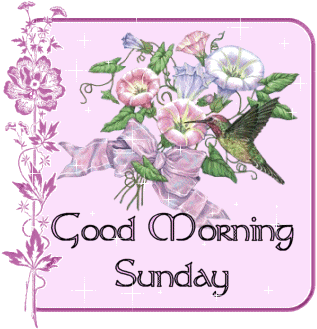 Sunday comment gifs