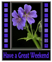 Weekend comment gifs