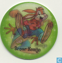 Brer rabbit