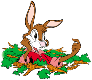 Brer rabbit