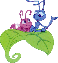 Bugs life