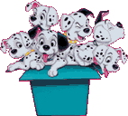 Dalmatians