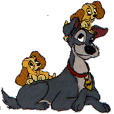 Lady and the tramp disney gifs