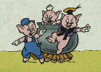 Three little pigs