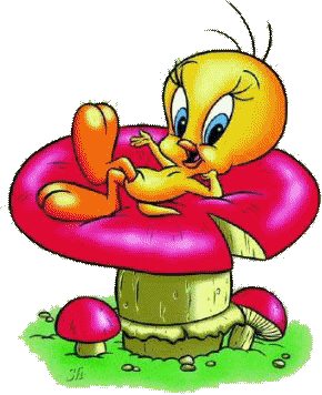 Tweety and sylvester