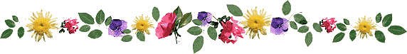 Flowers and nature divider