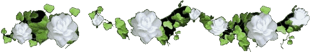 Flowers and nature divider