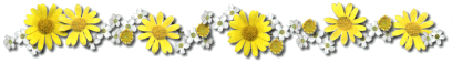 Flowers and nature divider