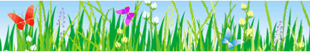 Flowers and nature divider