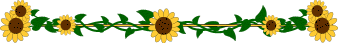 Flowers and nature divider
