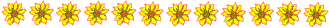 Flowers and nature divider
