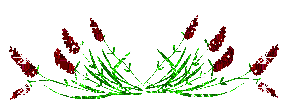 Glitter divider