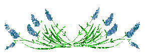 Glitter divider