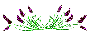 Glitter divider