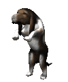 Bassets dog graphics
