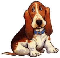 Bassets dog graphics