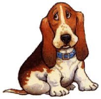 Bassets dog graphics