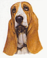 Bassets dog graphics