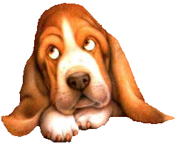 Bassets dog graphics