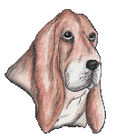 Bassets dog graphics