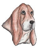 Bassets dog graphics