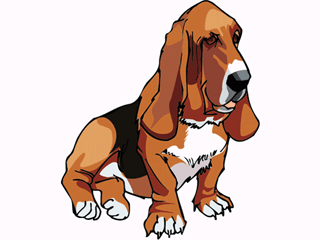 Bassets dog graphics