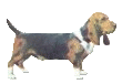 Bassets dog graphics
