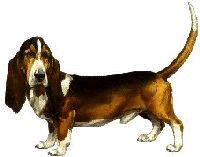 Bassets dog graphics