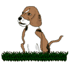 Beagles dog graphics