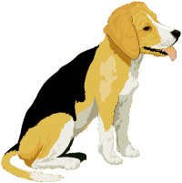 Beagles dog graphics