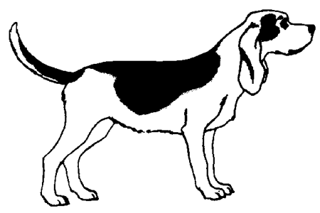 Beagles dog graphics