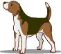 Beagles dog graphics